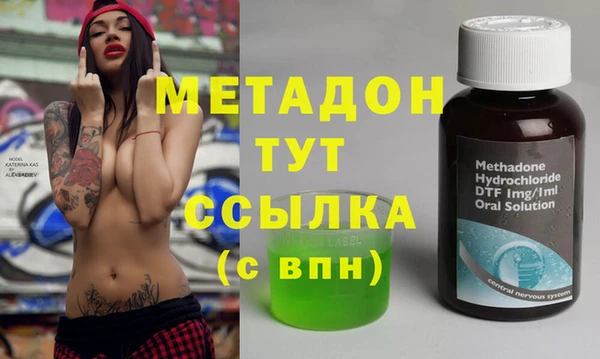 индика Горняк