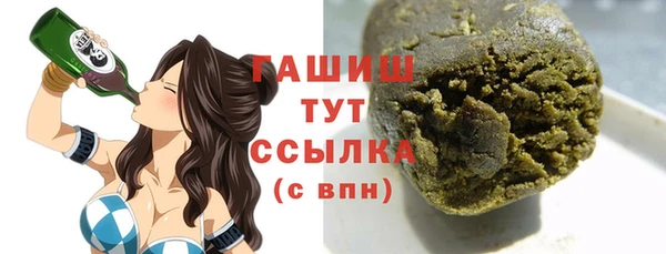 индика Горняк