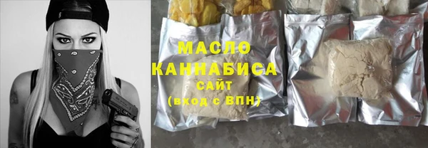 индика Горняк