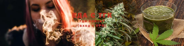 индика Горняк