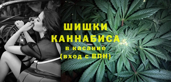 индика Горняк