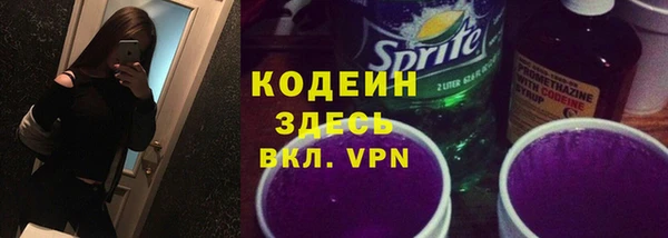 индика Горняк
