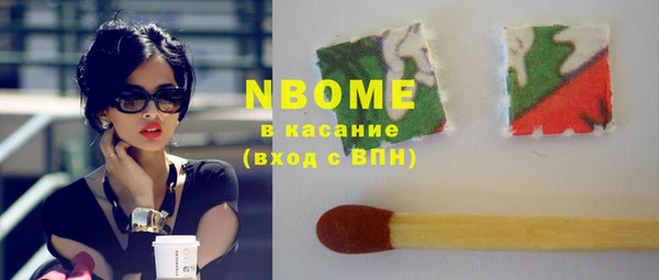 индика Горняк