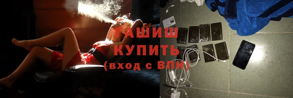 индика Горняк