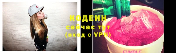 индика Горняк