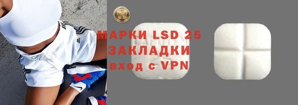 индика Горняк