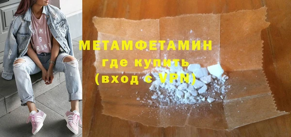 индика Горняк