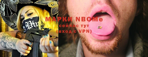 индика Горняк