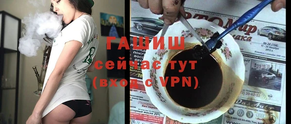 индика Горняк