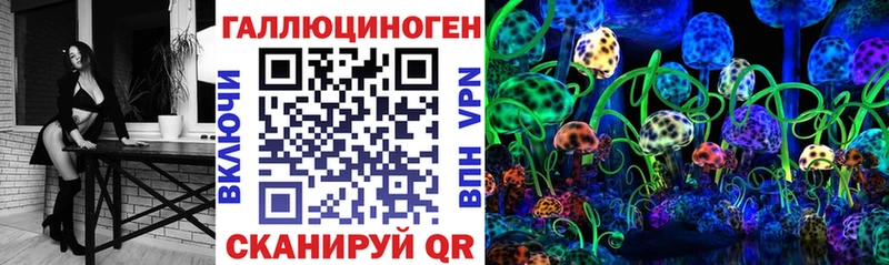 Купить Апшеронск Псилоцибиновые грибы Psilocybe