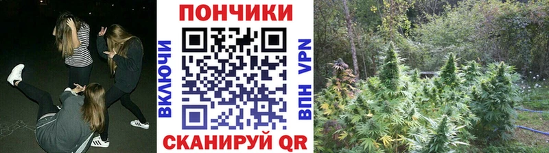 Купить  Апшеронск  Бошки марихуана план 